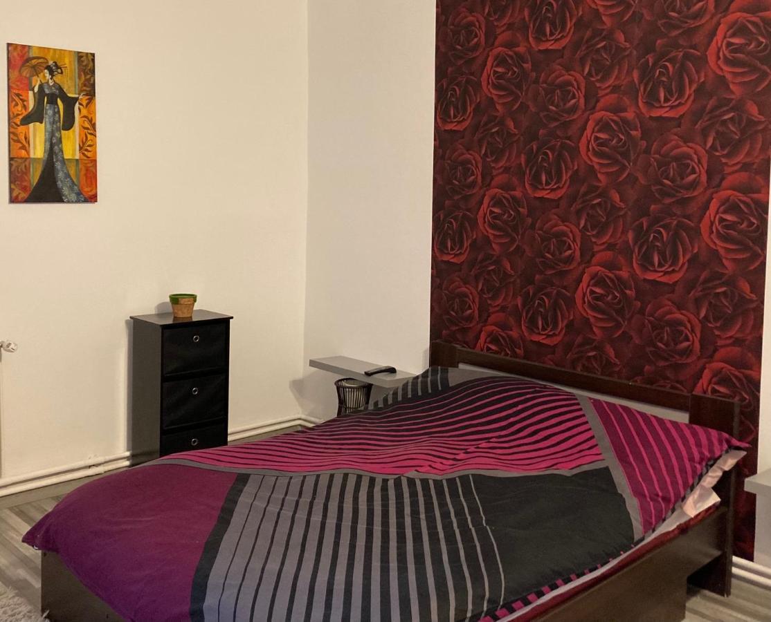 Edit House Apartment Târgu-Mureş Esterno foto